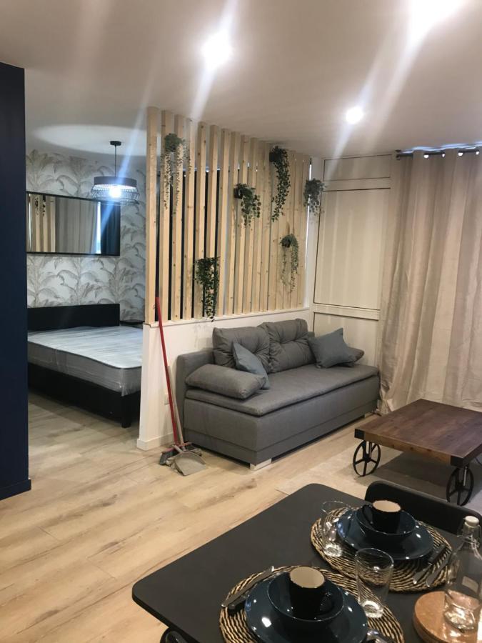 Loft T2 By Locations_Lepuyenvelay Apartment Le Puy-en-Velay Luaran gambar